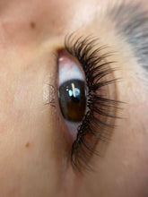 Load image into Gallery viewer, Brown Lash Trays- CC Curl