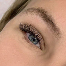 Load image into Gallery viewer, Classic Lash Trays- D Curl