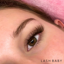 Load image into Gallery viewer, Brown Lash Trays- CC Curl