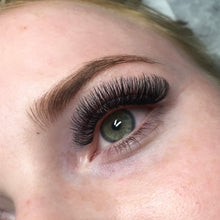 Load image into Gallery viewer, Volume Lash Trays-D Curl