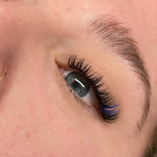 Load image into Gallery viewer, D Curl Coloured Volume Lash Trays