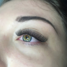 Load image into Gallery viewer, Volume Lash Trays- LD Curl