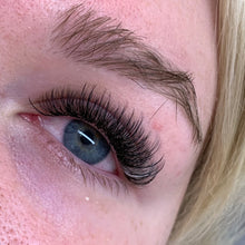 Load image into Gallery viewer, Volume Lash Trays-D Curl