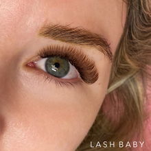 Load image into Gallery viewer, Brown Lash Trays- D Curl