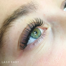 Load image into Gallery viewer, Classic Lash Trays- D Curl