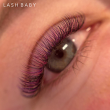 Load image into Gallery viewer, D Curl Coloured Volume Lash Trays