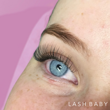 Load image into Gallery viewer, Classic Lash Trays- D Curl