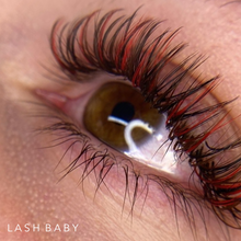 Load image into Gallery viewer, D Curl Coloured Volume Lash Trays