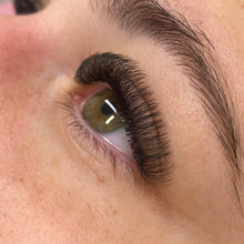 Load image into Gallery viewer, Promade 4D Rapid Volume Fans