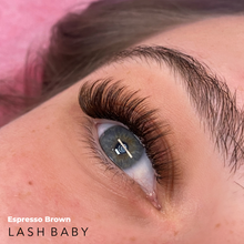 Load image into Gallery viewer, Brown Lash Trays- CC Curl