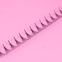 Load image into Gallery viewer, Promade 8D Rapid Volume Fans