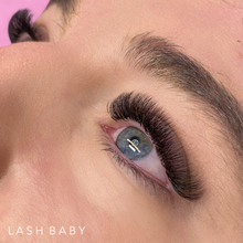 Load image into Gallery viewer, Volume Lash Trays-C Curl