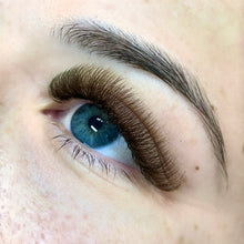 Load image into Gallery viewer, Brown Lash Trays- D Curl