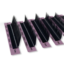 Load image into Gallery viewer, - Classic Lash Trays- M Curl