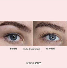 Load image into Gallery viewer, a picture of a picture of a bird