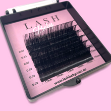 Load image into Gallery viewer, - Styling Mini Trays - D Curl