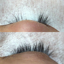 Load image into Gallery viewer, a close up of a bird on a table