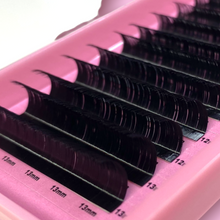 Load image into Gallery viewer, - Volume Lash Trays- LD Curl