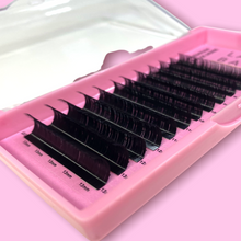 Load image into Gallery viewer, - Volume Lash Trays- LD Curl