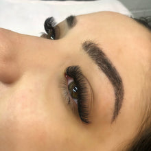Load image into Gallery viewer, Volume Lash Trays-CC Curl
