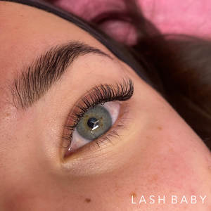 Classic Lash Trays- CC Curl