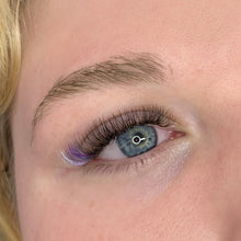 Load image into Gallery viewer,   -  D Curl Coloured Volume Lash Trays
