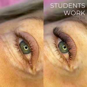 ProMade Volume Lash Training