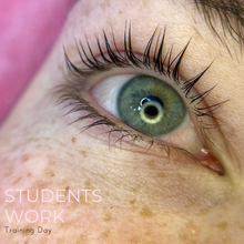 Load image into Gallery viewer, Lash Lifting &amp; Tinting Beginners Training
