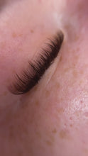 Load and play video in Gallery viewer, Brown Lash Trays- D Curl
